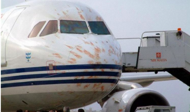 Airbus 319 fra Air Malta fikk «meslinger»