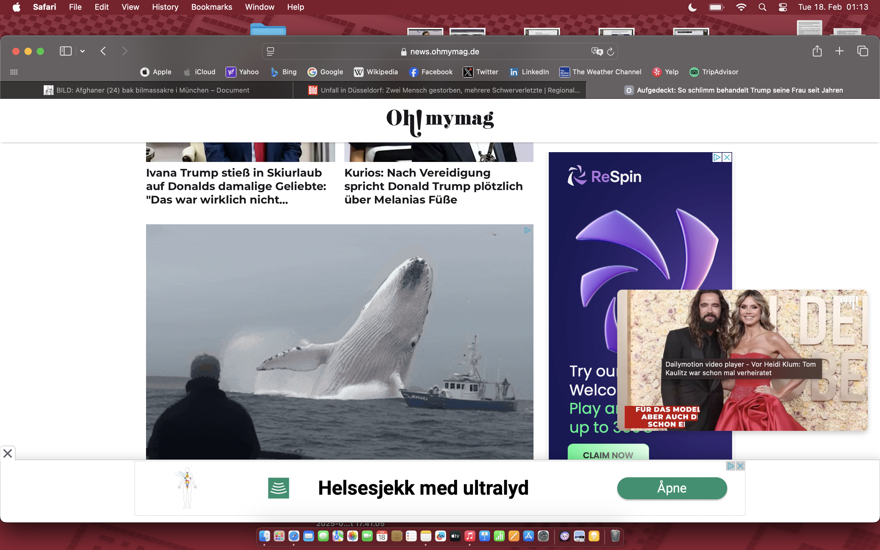 Screenshot 2025-02-18 at 01.13.29